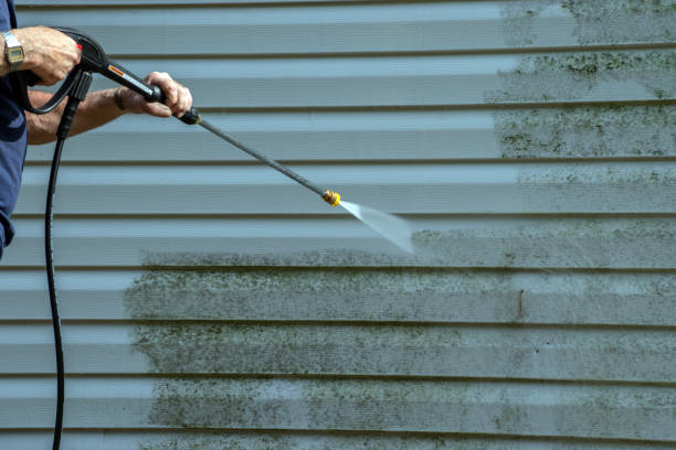 Best Commercial Building Pressure Washing  in Zapata, TX