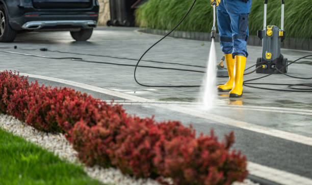 Deck Cleaning Services in Zapata, TX