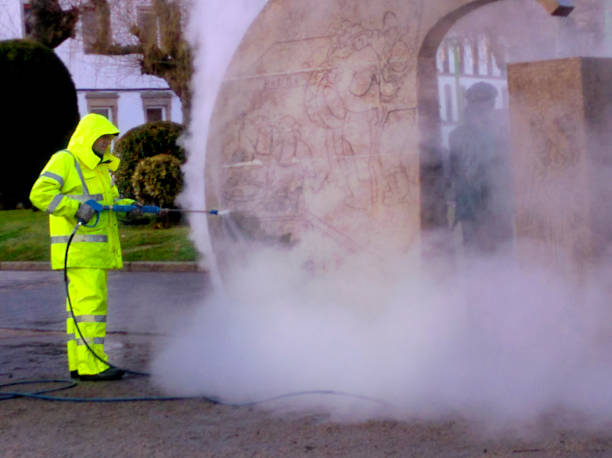 Best Affordable Power Washing  in Zapata, TX