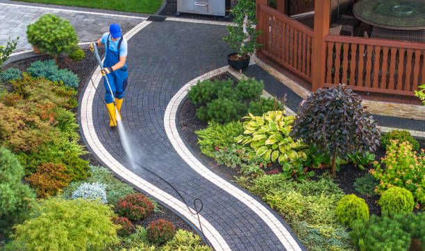  Zapata, TX Pressure Washing Pros