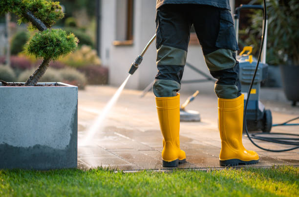 Best Roof Power Washing Services  in Zapata, TX